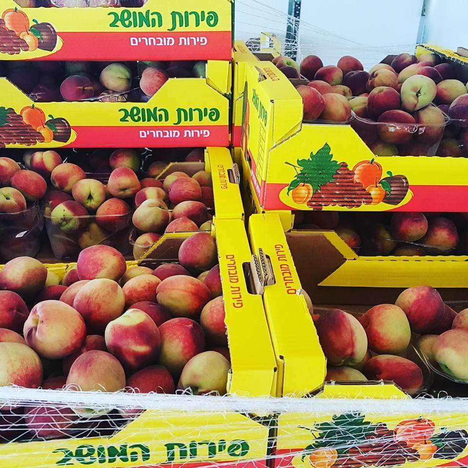 איפה תוכלו לקנות ירקות ופירות בזול מהחקלאי ישר אליכם? כל המידע